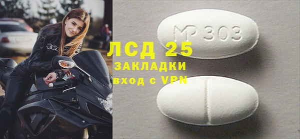 прущие крисы Бородино