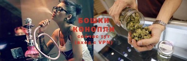 прущие крисы Бородино