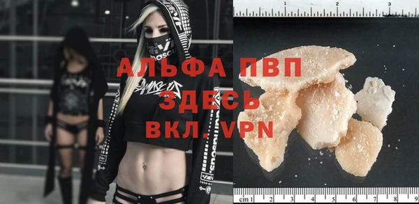 прущие крисы Бородино