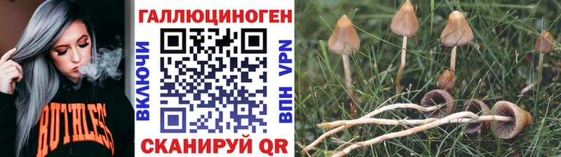 Псилоцибиновые грибы MAGIC MUSHROOMS  Калуга 